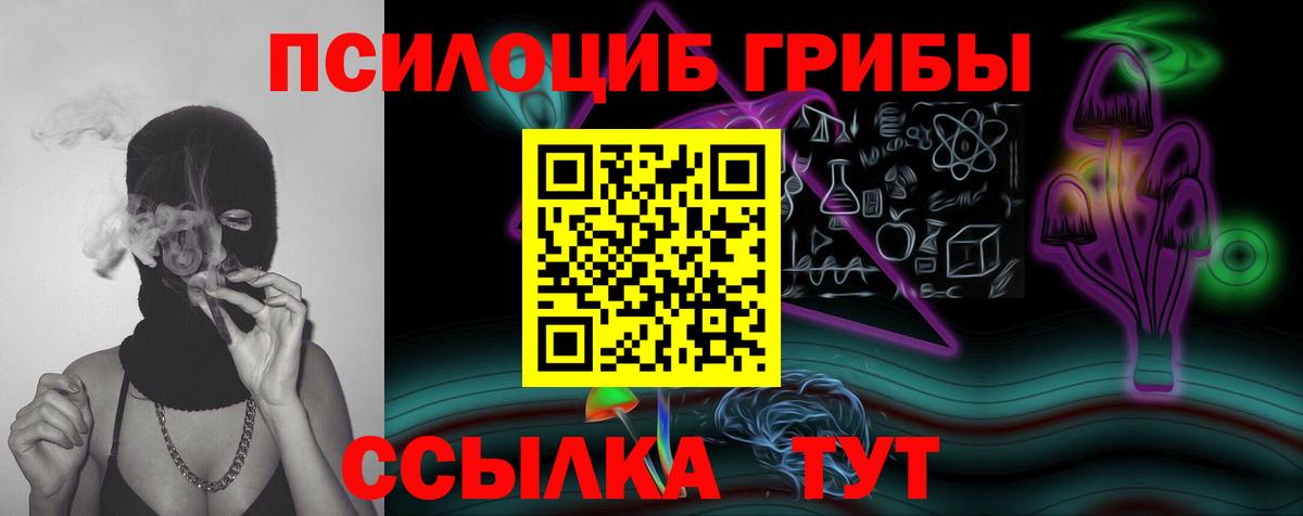 Псилоцибиновые грибы Psilocybe Лангепас